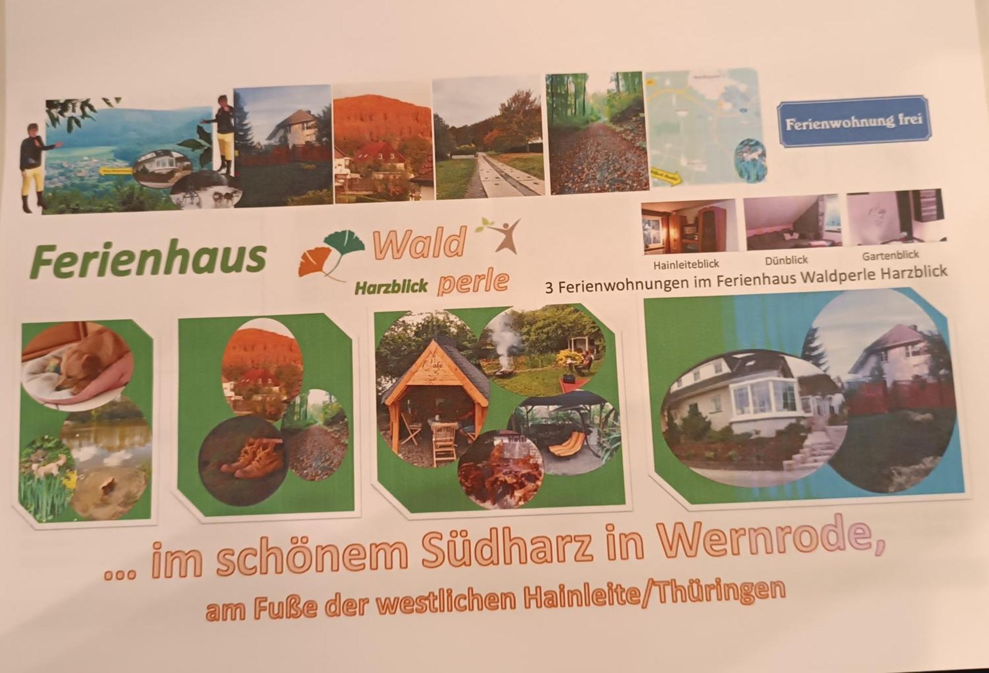 Ferienhaus Waldperle Harzblick Wernrode Esterno foto