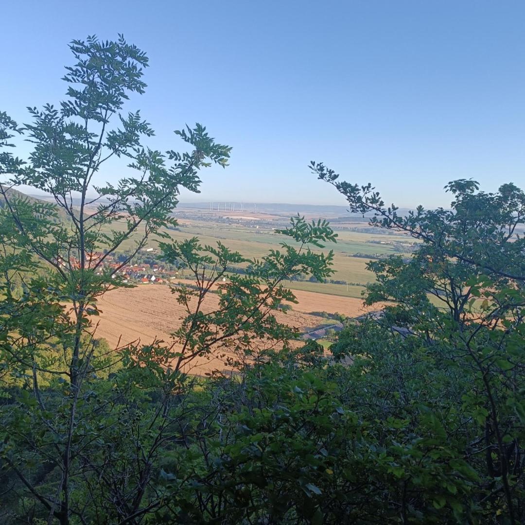 Ferienhaus Waldperle Harzblick Wernrode Esterno foto