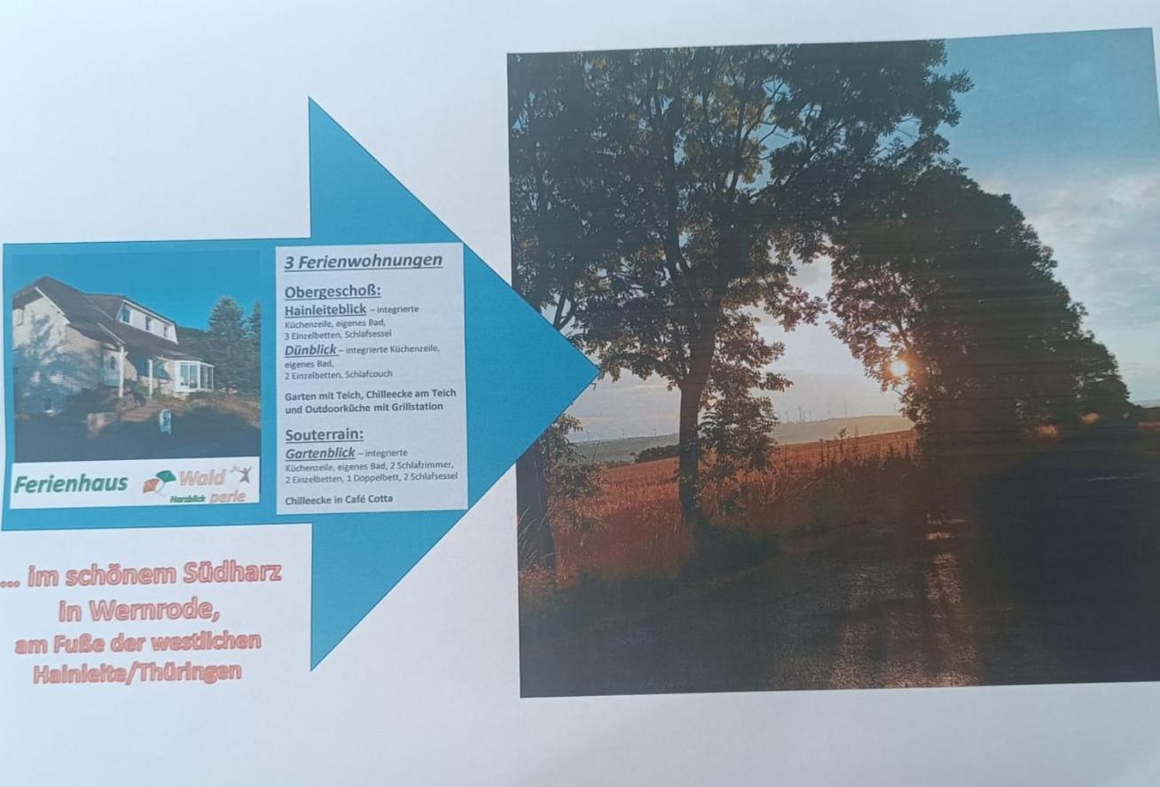 Ferienhaus Waldperle Harzblick Wernrode Esterno foto